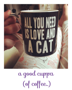 I'm not a fan of tea, but drinking warm drinks when it's cold outside is one of my favourite things. Plus, the mug in this picture is like my most favourite thing ever.